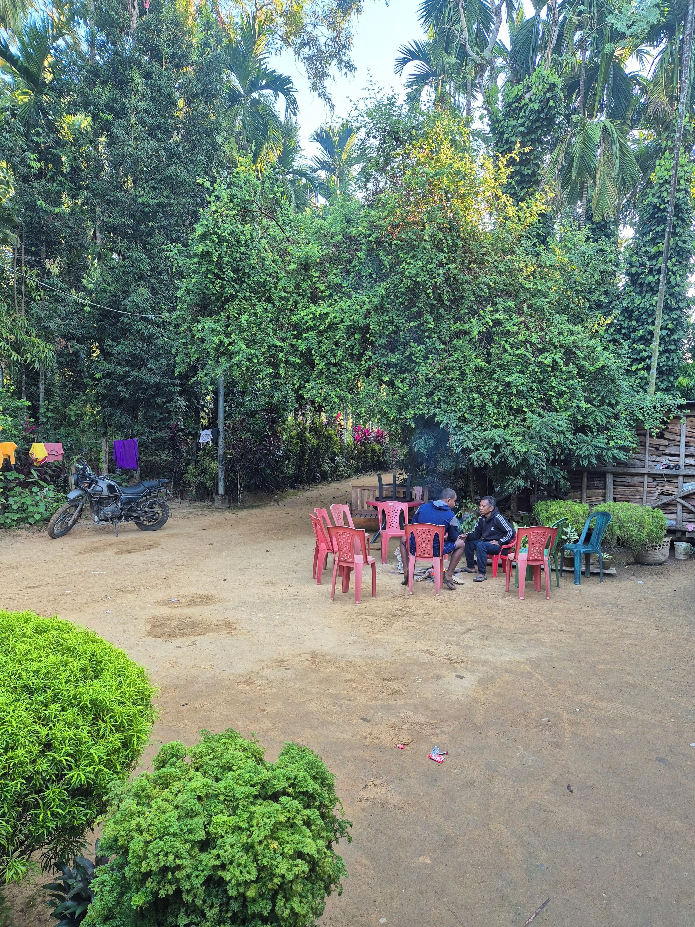 Basic Double Room, Patio, Garden View | View from room