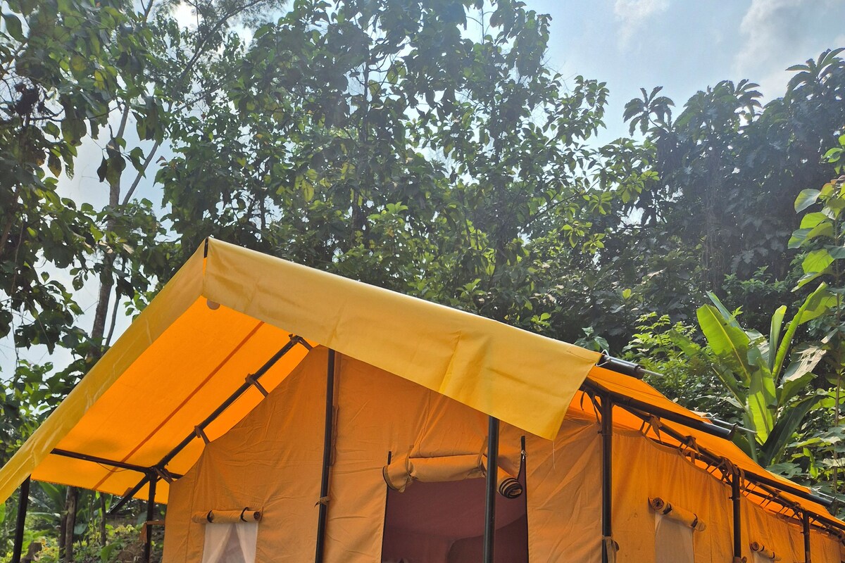 Kamar