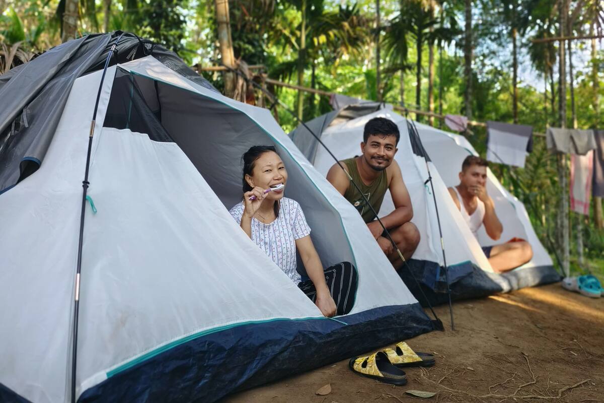 A group of tents in a forested area with trees and greenery in the background.