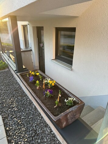 DĂ©tail de lâextĂ©rieur