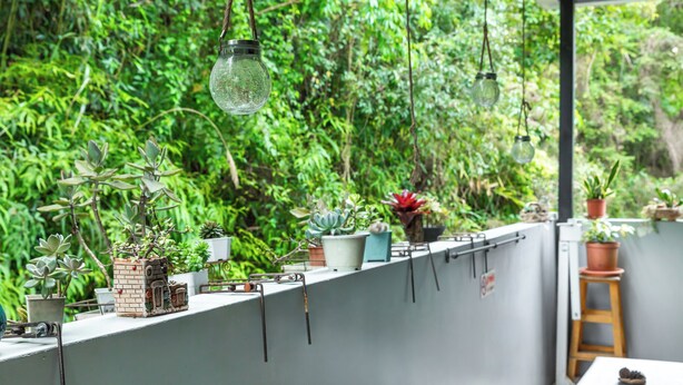 A balcony with potted plants, hanging lights, and a small table. - Taomi Mountain Lodge (Puli)