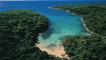 Vlak bij het strand