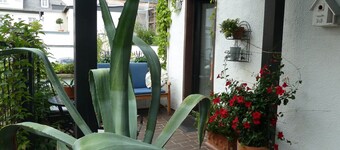 Studio 'Dora Brand' with Shared Terrace, Shared Garden and Wi-Fi