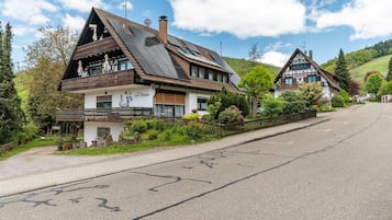 Esterni