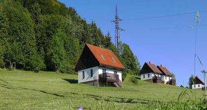 Mansion in Starkov With Shared Pool