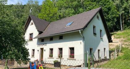 Mansion in Starkov With Shared Pool