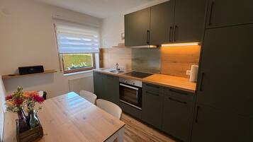 Kühlschrank, Ofen, Herdplatte, Geschirrspüler