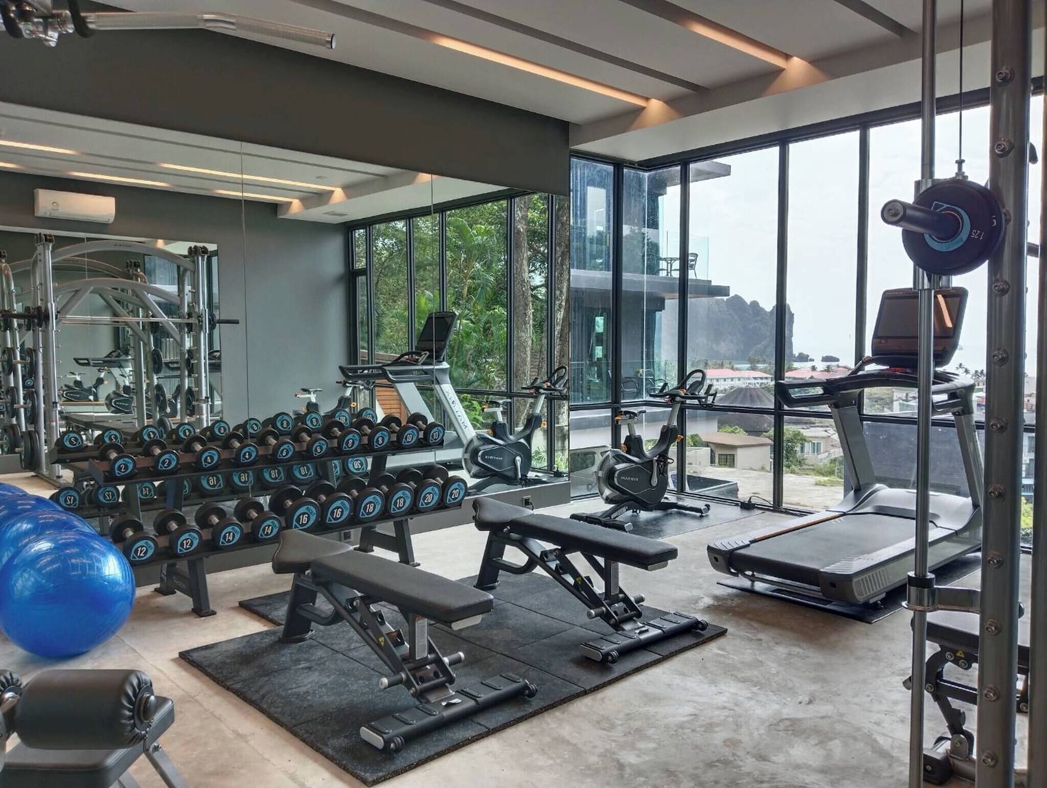 Room, 1 Bedroom, Accessible, Balcony | Fitness studio
