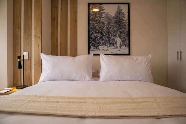 2 bedrooms, iron/ironing board, WiFi, bed sheets