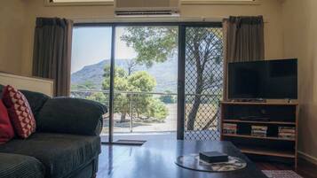 Smart TV, DVD player, books, video library