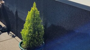 A rooftop with a potted plant, a view of the ocean, and buildings in the background. - Apartment Apulia - sea view 6 people (Apúlia esposende)