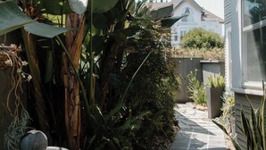 A narrow stone pathway flanked by lush banana plants and a variety of other greenery, leading to a house with a visible window and a stone wall. - Outsite San Diego - Golden Hill - Work, Connect, Explore (San Diego)