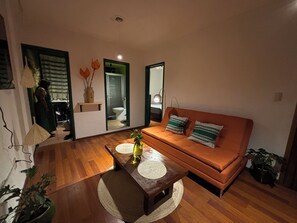 Living area - Departamento con terraza (Oaxaca)