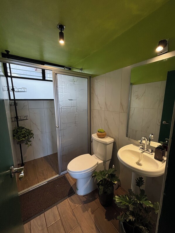 Bathtub, towels - Departamento con terraza (Oaxaca)