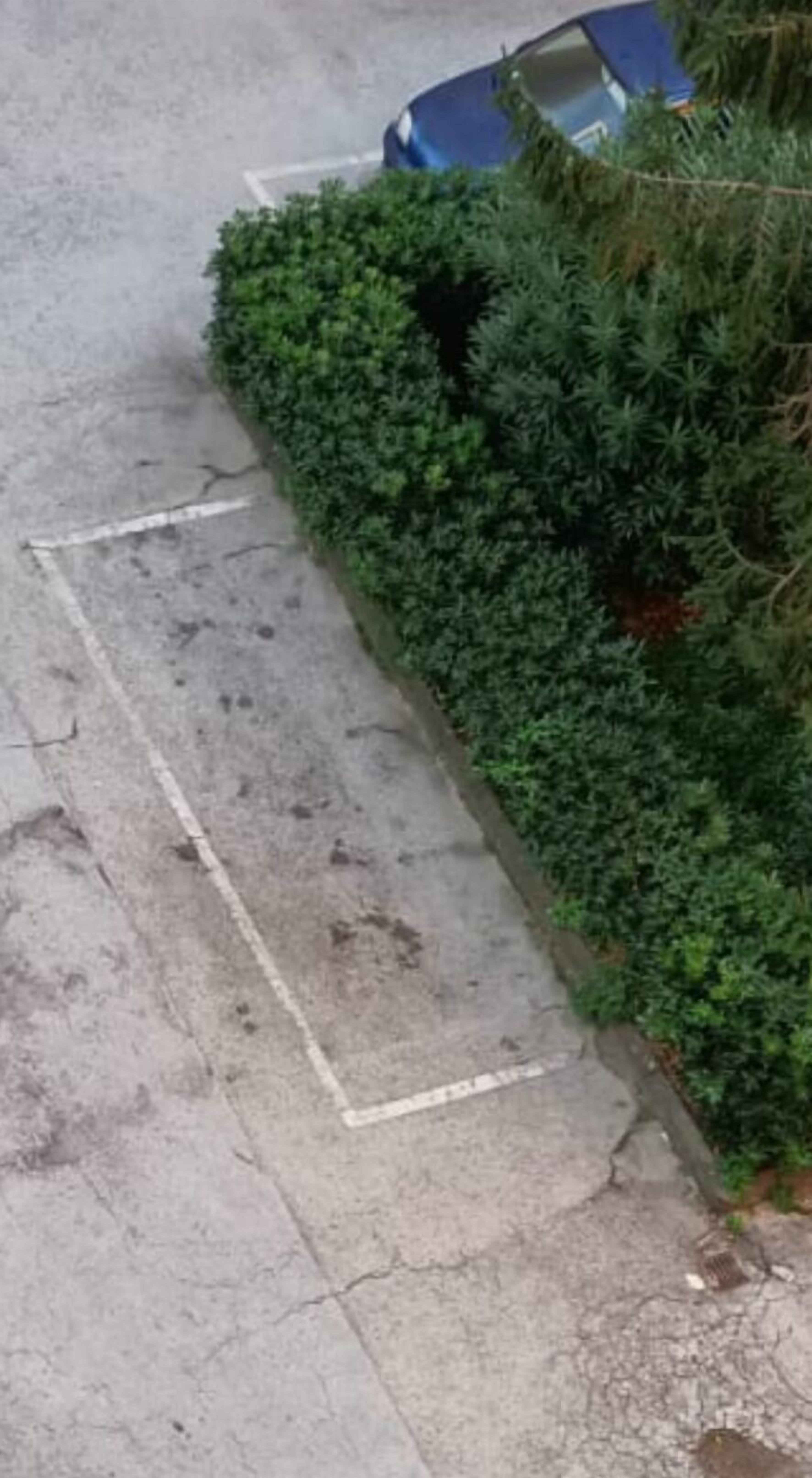 Foto - Mamuccia Rooms Posto Auto