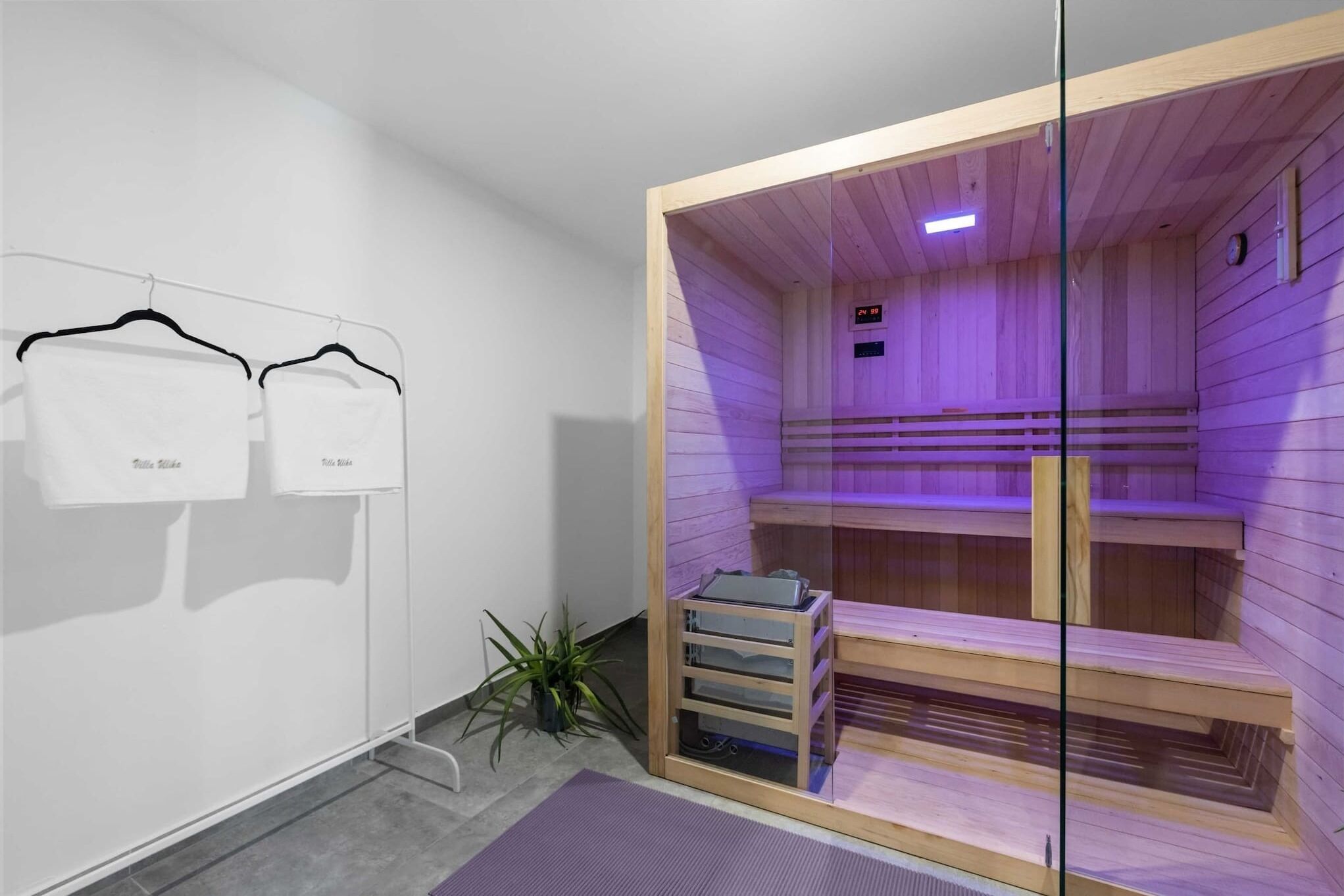 A sauna room with wooden benches and a glass door, a small plant, and two white towels hanging on a rack.