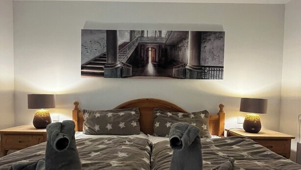 A bedroom with a large bed, two nightstands, a wall-mounted painting, and two lamps. - Newly renovated basement apartment (Rodenbach)