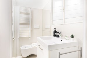 Shower, hair dryer, bidet, towels