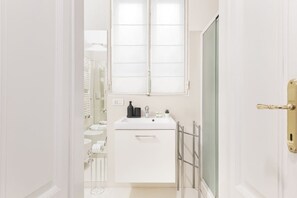 Shower, hair dryer, bidet, towels