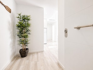 A hallway with a potted bamboo plant, a wooden paddle on the wall, and a door with a handle.