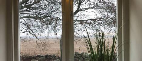 Premium Double Room, Park View | Individually decorated, individually furnished, free WiFi