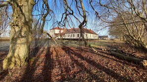 Un grand bâtiment blanc, surmonté d’un toit rouge, entouré d’un sol couvert de feuilles et d’arbres sans feuilles.