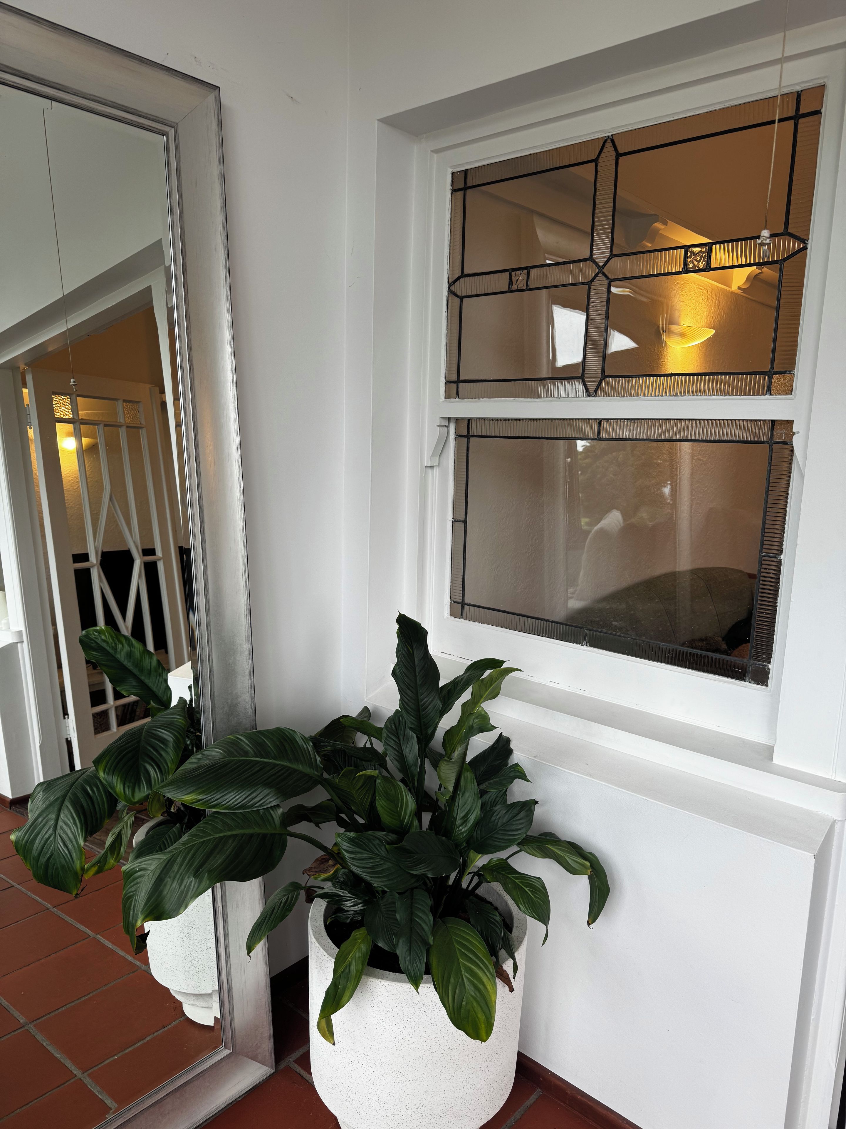 A white door with a glass panel, a potted plant, and a window with a decorative grille.