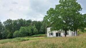 A rustic house with a large tree in front, surrounded by a grassy field and dense forest.