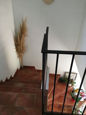 Staircase leads to an upper floor, flanked by a decorative plant and framed artwork.