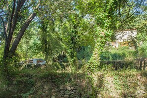 Un muro de piedra rústico, abundante vegetación y un pequeño edificio parcialmente oculto por árboles.