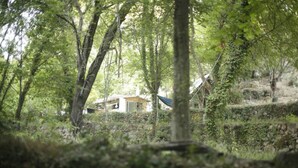 A rustic cabin nestled in a forested area with stone walls and a thatched roof. - Terre libre 2, glamping. Hutt with garden and access to a river. (Fayence)