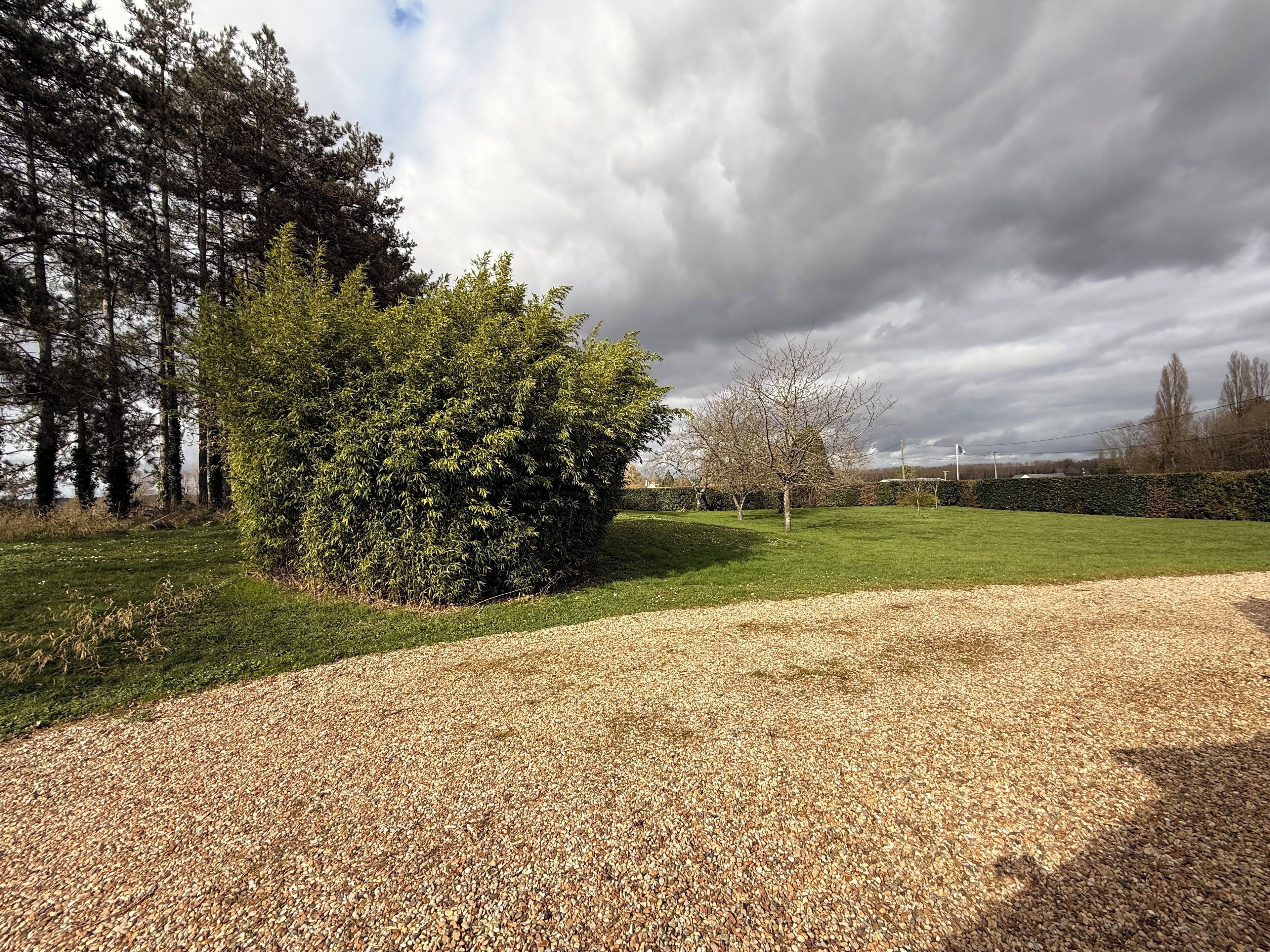 A gravel driveway leading to a grassy area with a dense bush and trees in the background.