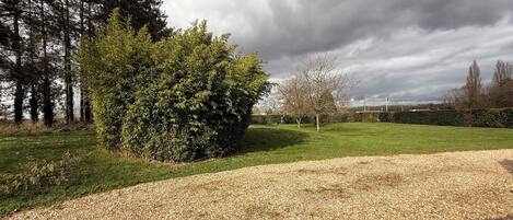 A gravel driveway leading to a grassy area with a dense bush and trees in the background.