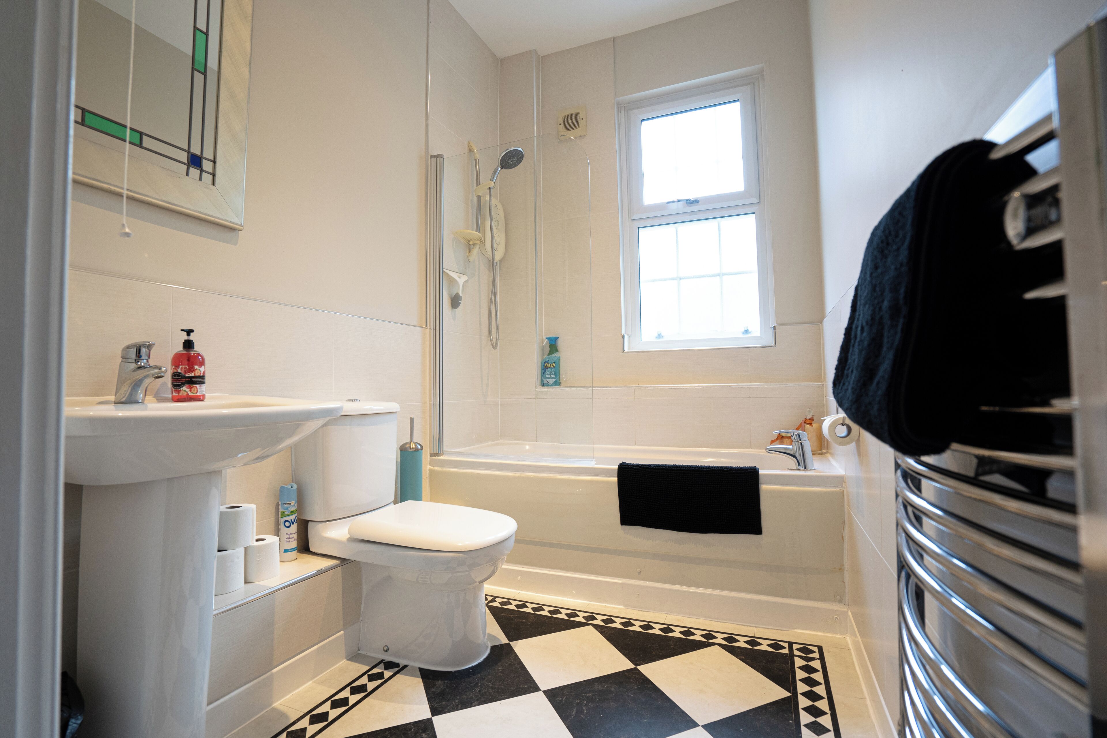 Hair dryer, towels, soap, toilet paper