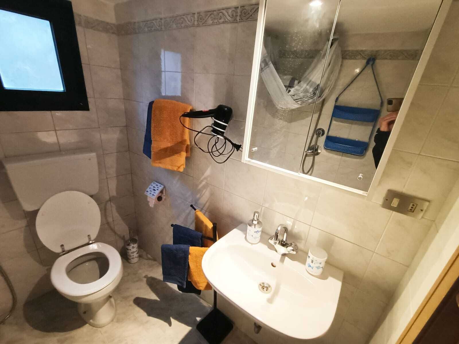Un bagno con il water, un lavandino e una doccia.