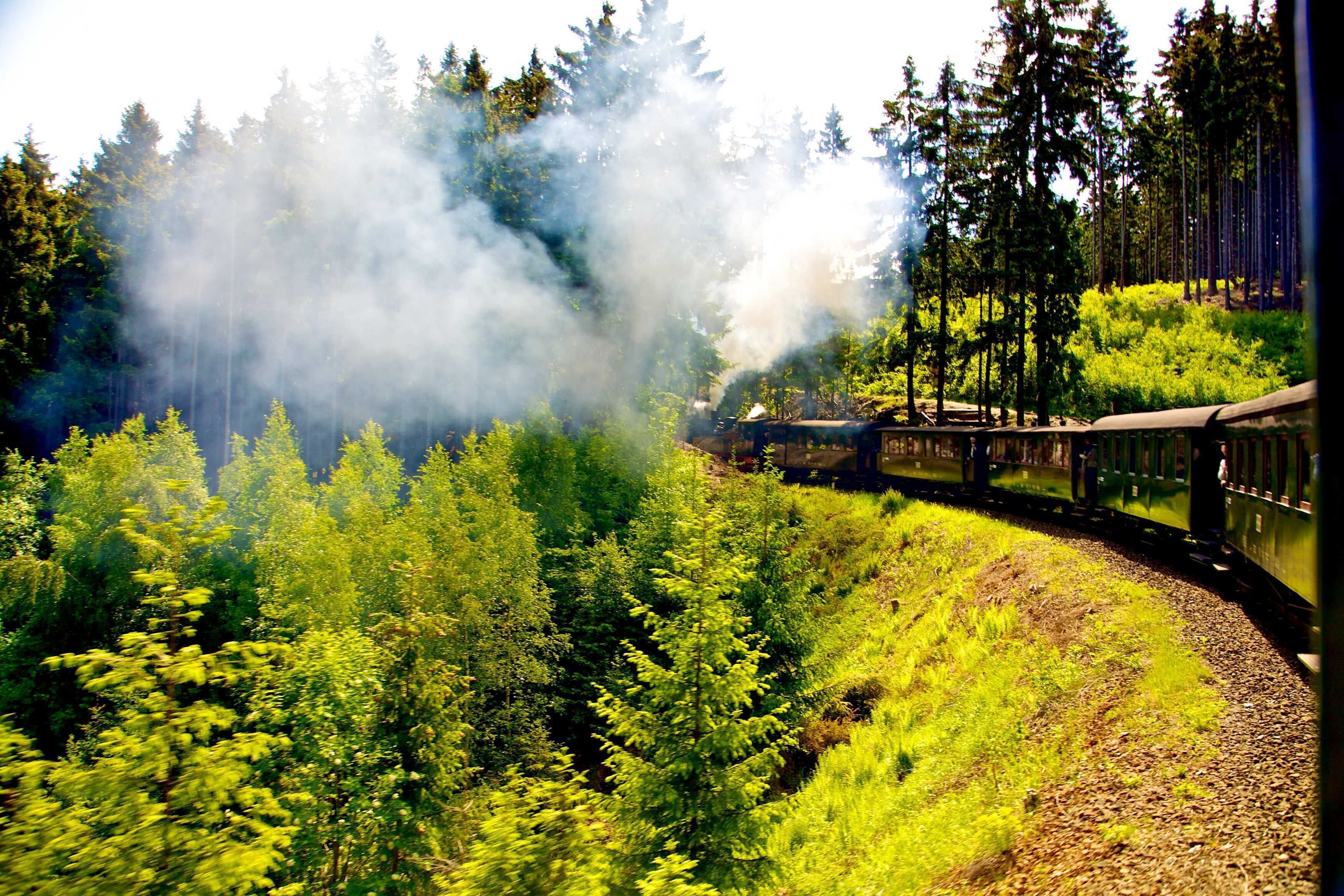 A train moving through a forested area with smoke visible in the background.