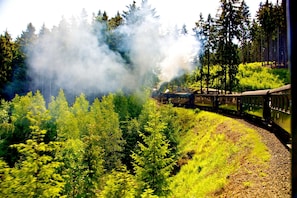 Un tren avanza por una zona boscosa, con humo visible al fondo.