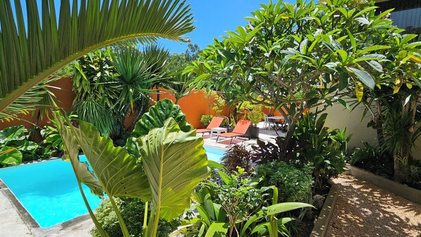 Una piscina rodeada de exuberante vegetación, con una terraza de madera y un cielo azul despejado.