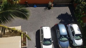 Tres coches estacionados en un estacionamiento, con una palmera y una planta pequeña en una maceta.