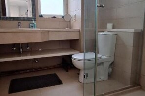 Shower, bidet, towels, toilet paper