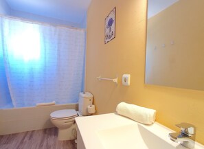 Chuveiro, secador de cabelo, toalhas de banho, sabonete