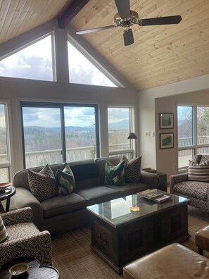 TV connectée, cheminée, livres