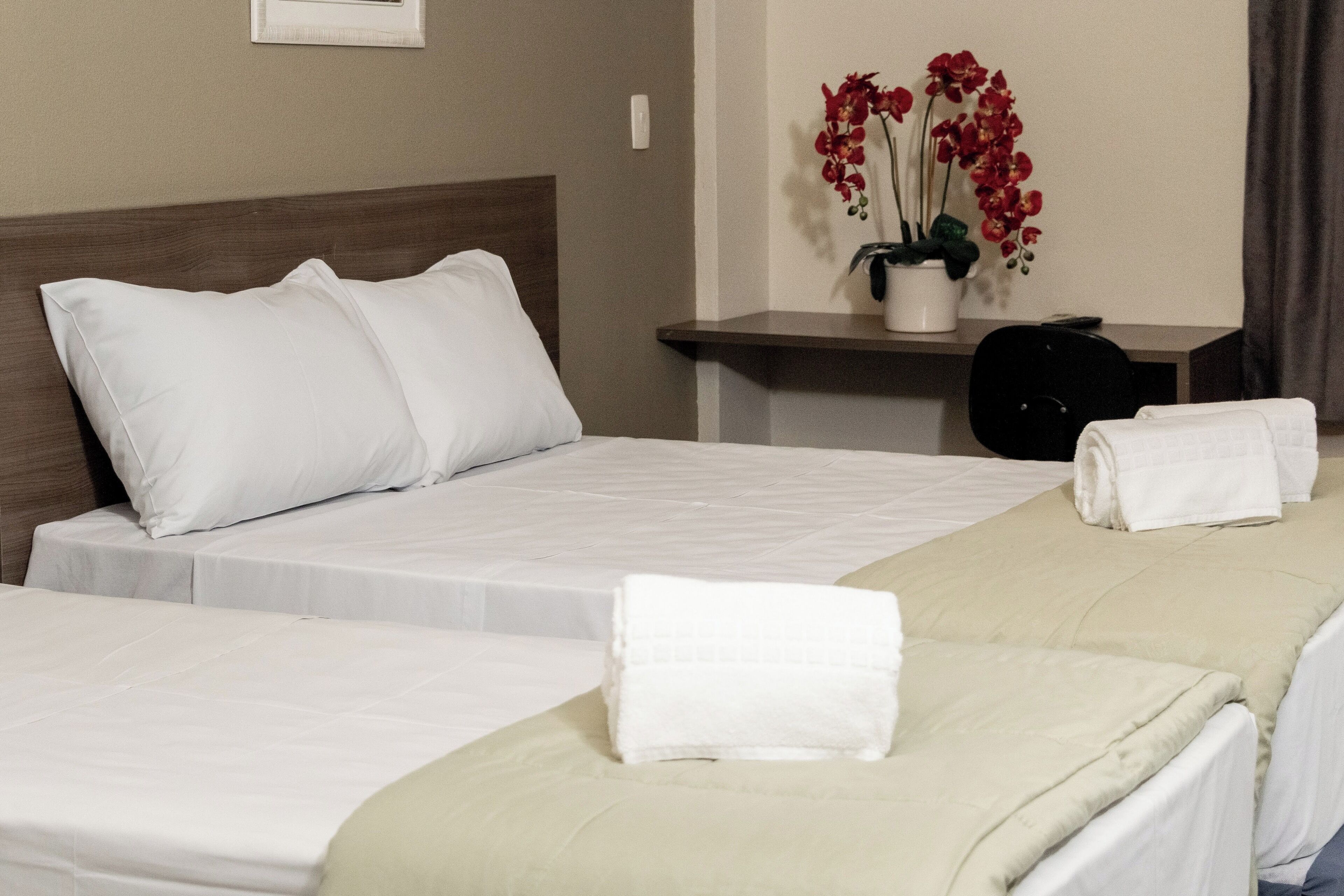 A hotel room with two beds, white bedding, a wooden headboard, a small table with a potted plant, and a black suitcase.