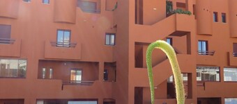 Un bajo amplio con vistas a las viñas y el mar