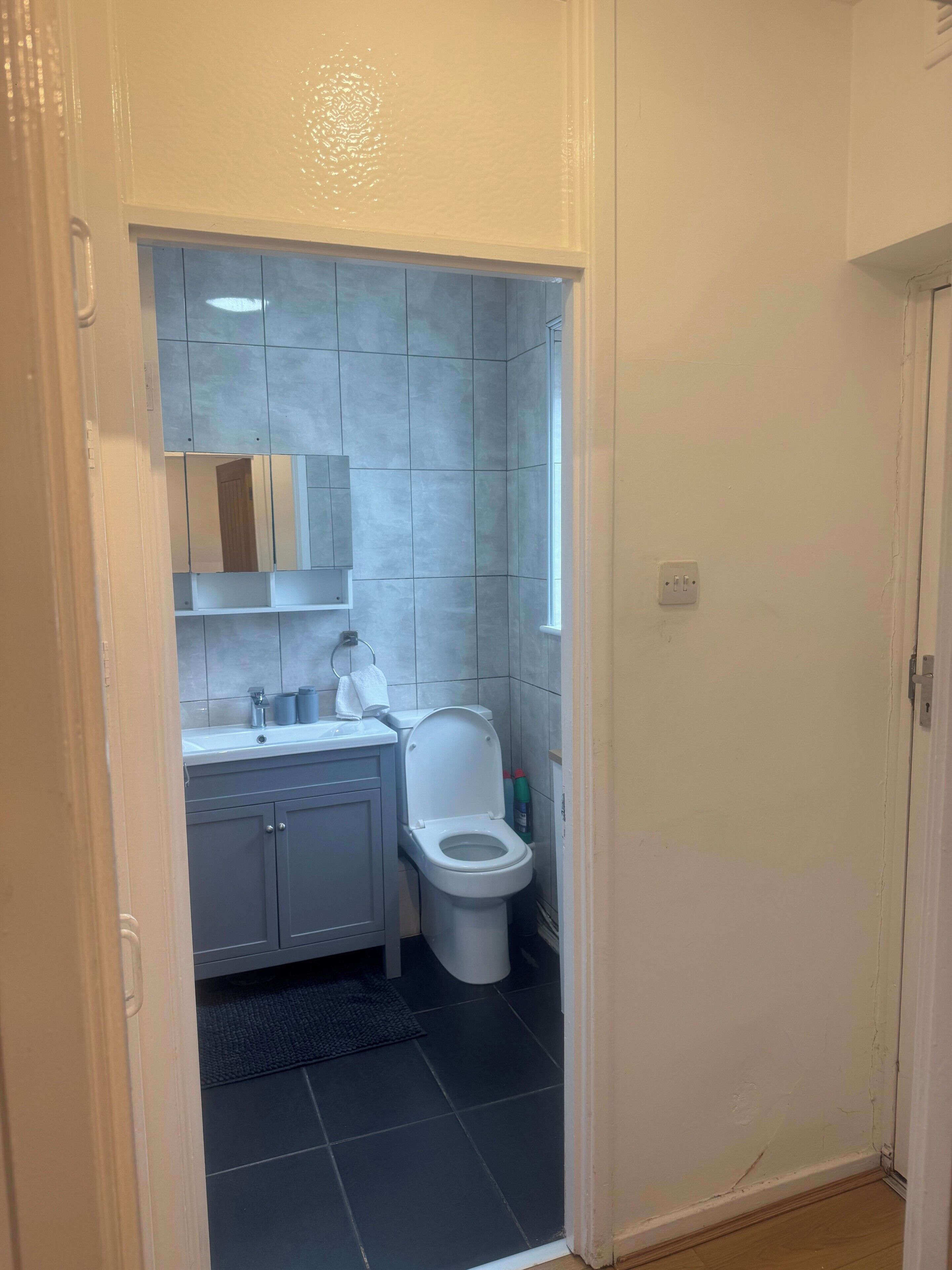 Ein Badezimmer mit Toilette, Waschbecken, Spiegel und gefliesten Wänden.