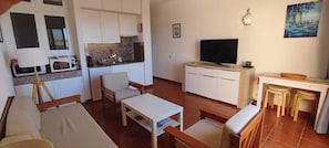Compact living space with a kitchenette, flat-screen TV, and comfortable seating area.