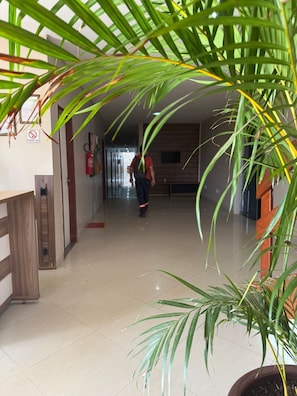 Recepção