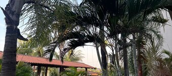 Pumma Hotel Ourilândia