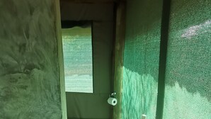 A bathroom with a white sink, a window, and a green wall. - Shanatsi Safari Lodge (Phalaborwa)