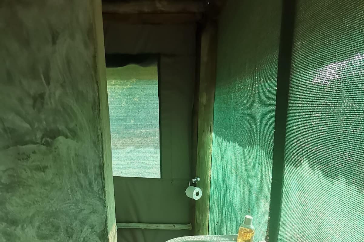 Ein Badezimmer mit einem weißen Waschbecken, einem Fenster und einer grünen Wand.